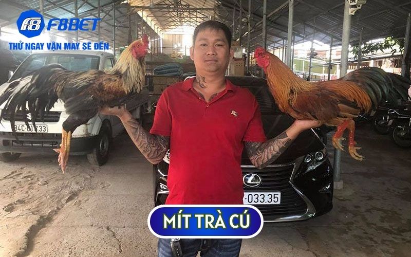 Mít Trà Cú cũng là một đối thủ của Phúc Bình Dương trong TRẬN GÀ 24 TỶ